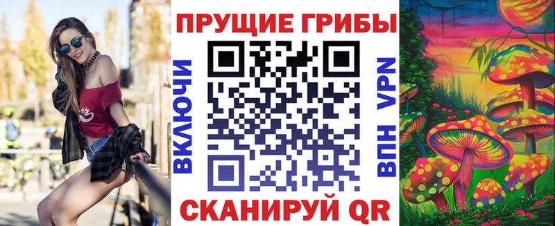 Псилоцибиновые грибы MAGIC MUSHROOMS наркотики Чишмы